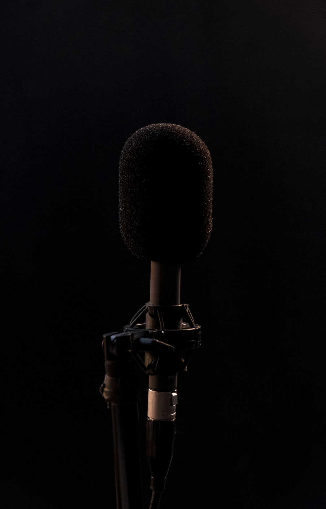 mic